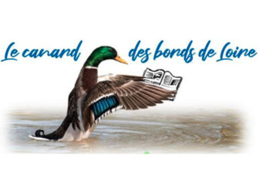 Les canards du Bords de Loire – Mars 2025
