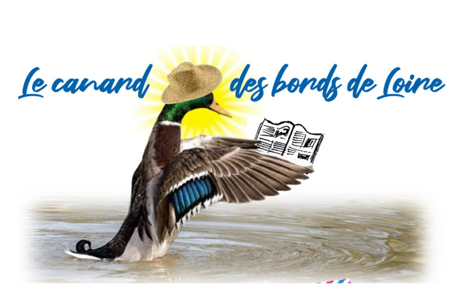 Les canards du Bords de Loire – juin 2025