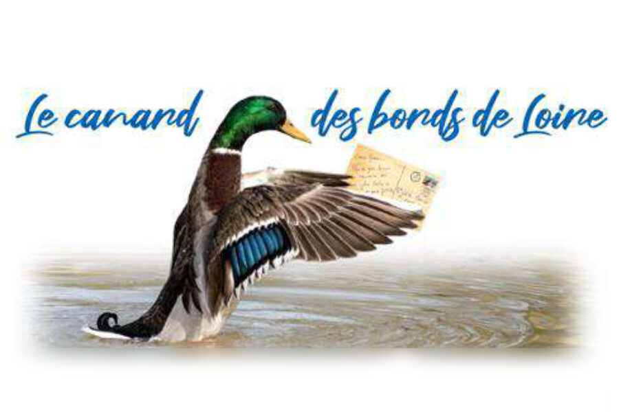 Les canards du Bords de Loire – juillet 2025