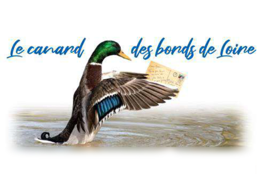 Les canards du Bords de Loire – juillet 2025