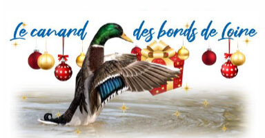 Les canards du Bords de Loire – décembre 2025