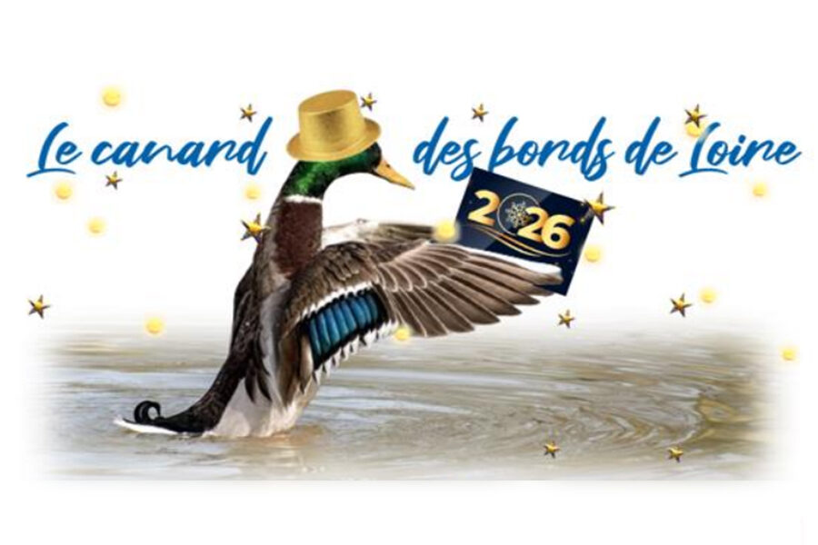 Les canards du Bords de Loire – décembre 2025