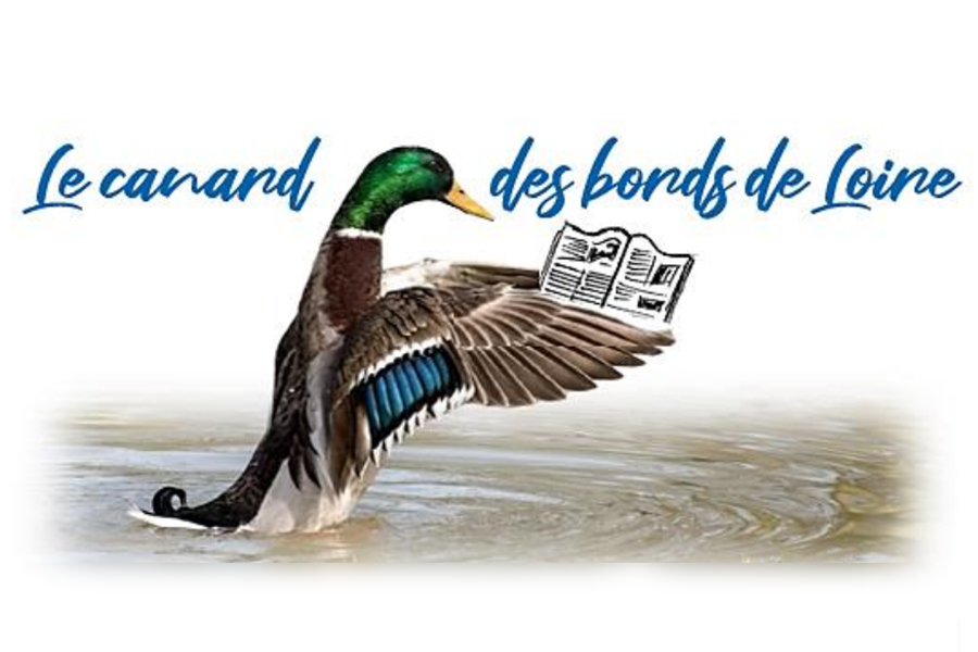 Les canards du Bords de Loire – janvier 2026