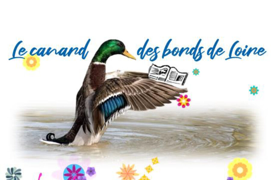 Les canards des Bords de Loire – mai 2026