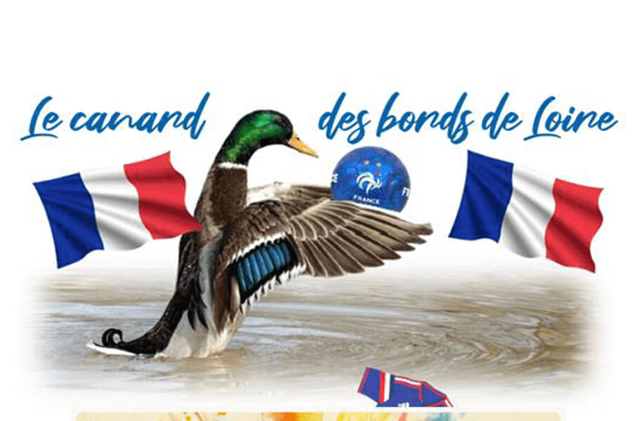 Les canards des Bords de Loire – juin 2026