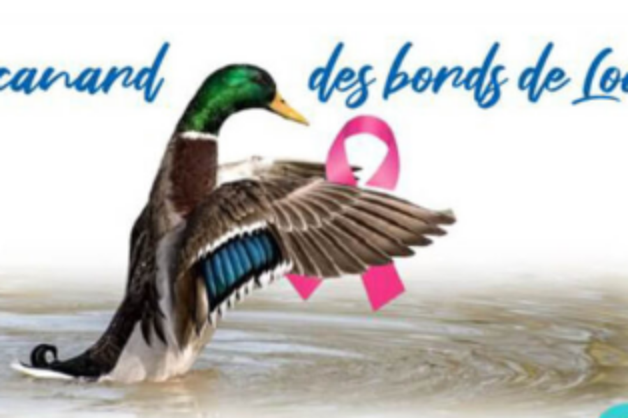 Les canards des Bords de Loire – septembre 2026