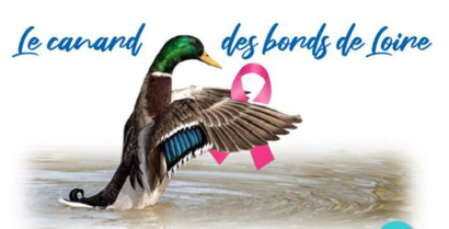 Les canards des Bords de Loire – septembre 2026